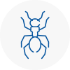 Ant Removals In Hythe