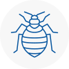 Bed Bug Extermination In Hythe