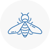 Bee Nest Removal Hythe