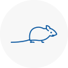 Mice Exterminators In Hythe