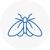 Moth Control Specialists In Hythe