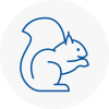 Hythe Rodent Removals